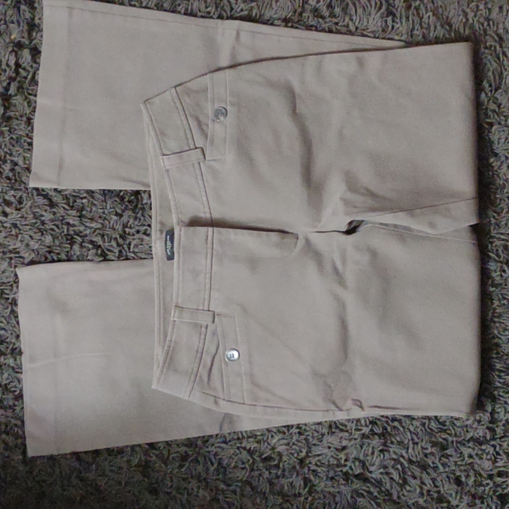 Ann Taylo Dress pants
